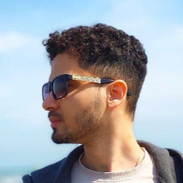 Mojataba Zamani